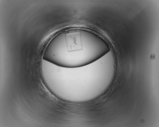 X0000116061456200911201150