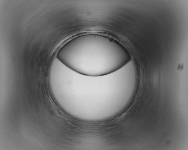 X0000116061457200911201150