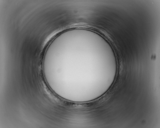 X0000116061458200911201150