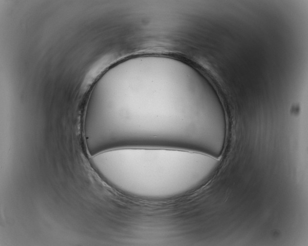 X0000116061459200911201150