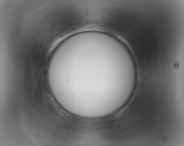 X0000116061461200911201150