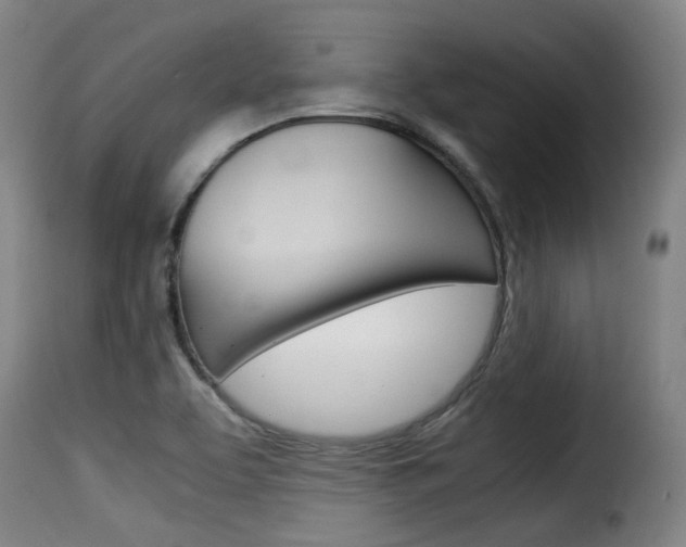 X0000116061463200911201150
