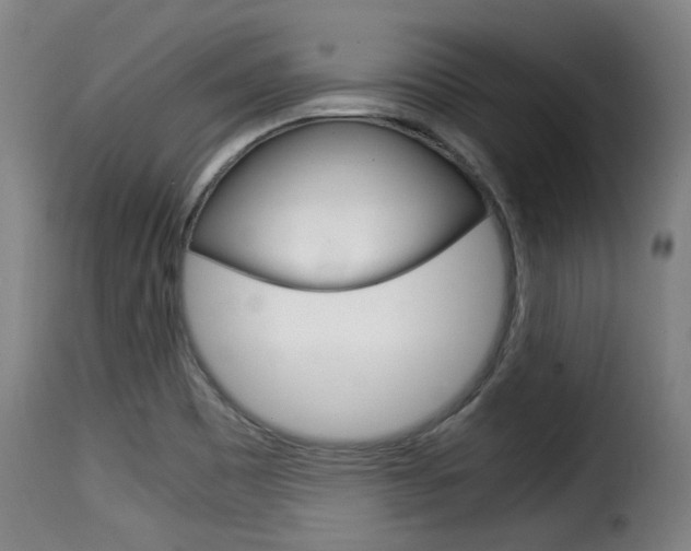 X0000116061465200911201150