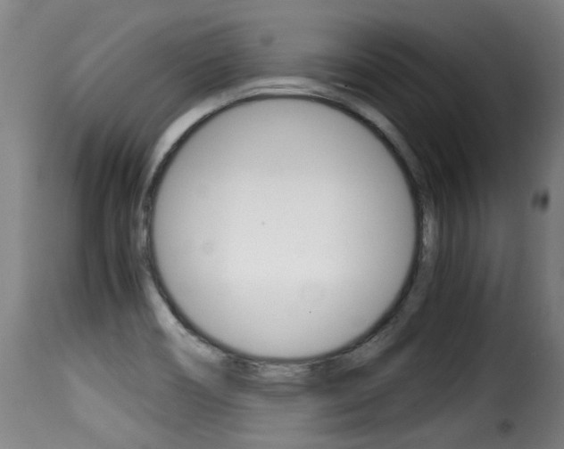 X0000116061466200911201150