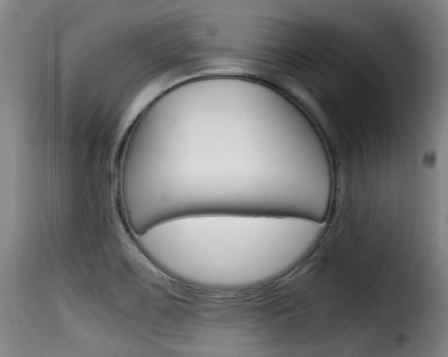 X0000116061467200911201149