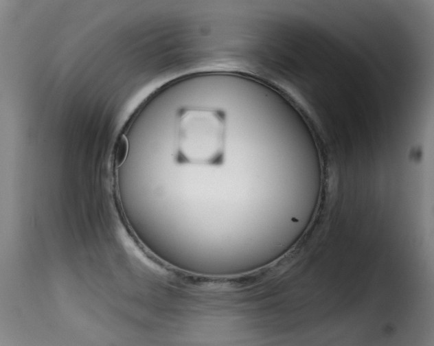 X0000116061468200911201149