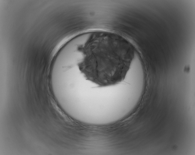 X0000116061469200911201149