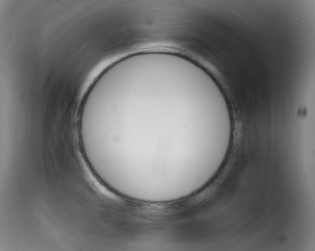 X0000116061470200911201149