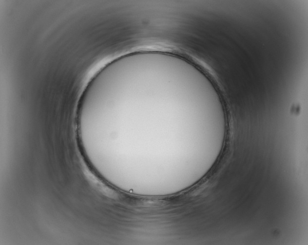 X0000116061471200911201149
