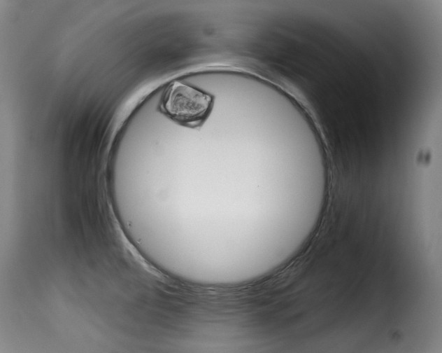X0000116061472200911201149