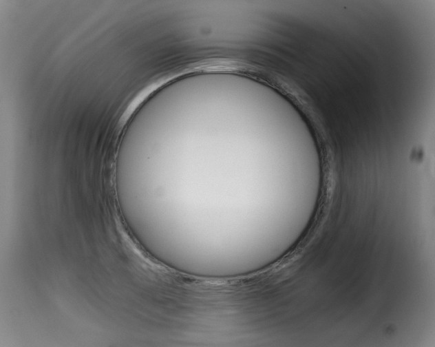 X0000116061473200911201149