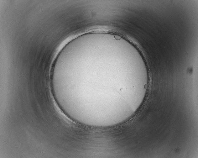 X0000116061475200911201149