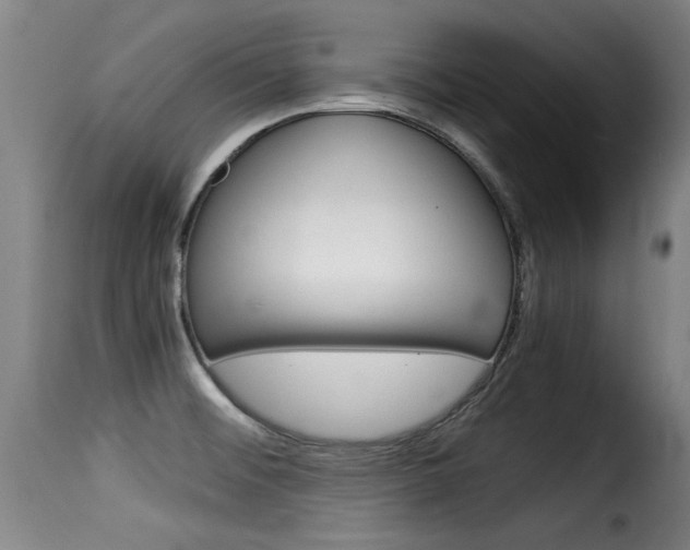 X0000116061476200911201149
