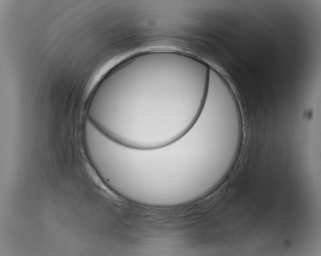 X0000116061477200911201149