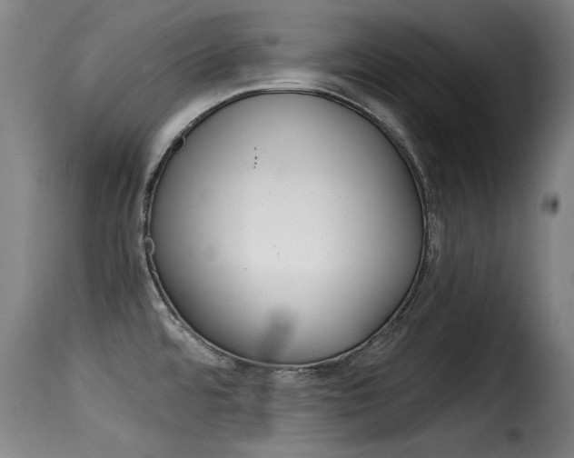 X0000116061480200911201149