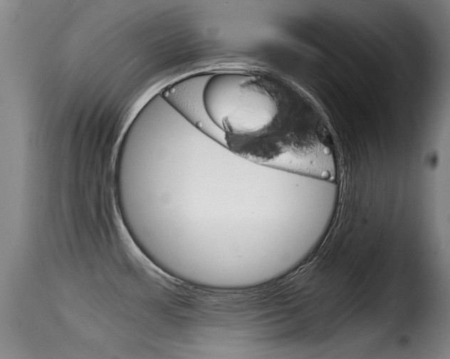 X0000116061483200911201149