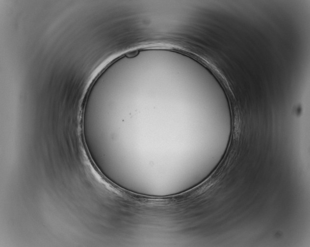 X0000116061484200911201149