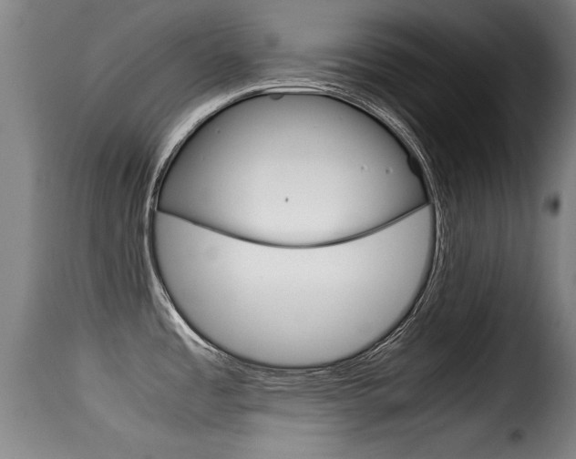 X0000116061485200911201149