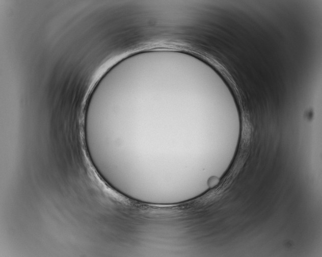 X0000116061486200911201149