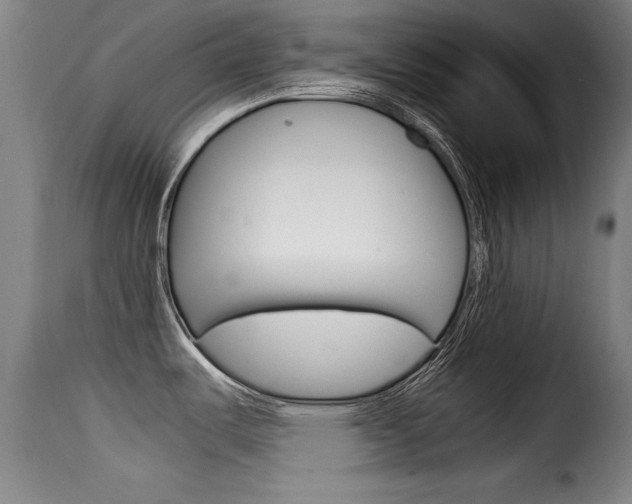 X0000116061487200911201149