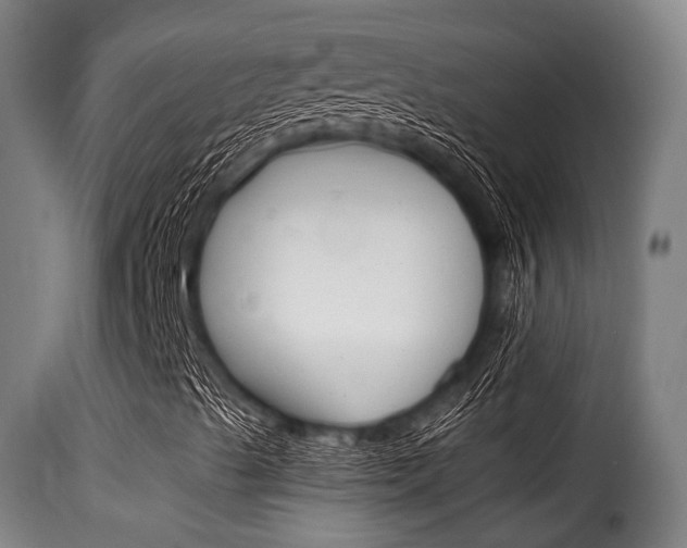 X0000116061489200911201148