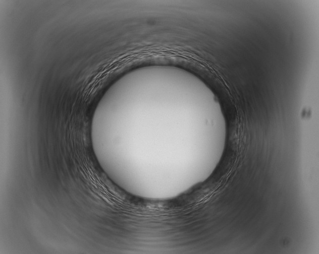 X0000116061490200911201149