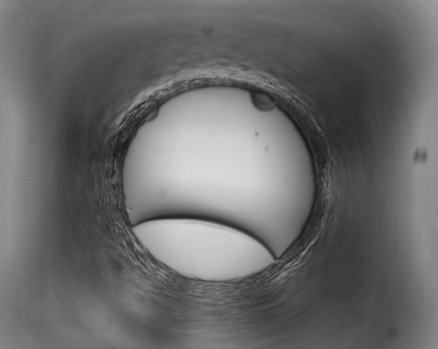 X0000116061494200911201149