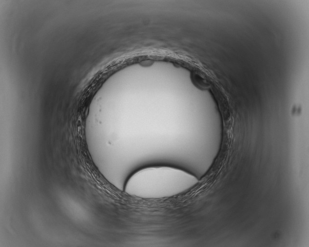 X0000116061495200911201149