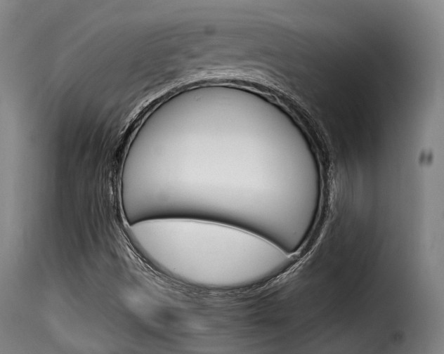 X0000116061497200911201149