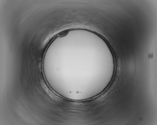 X0000116061499200911201149