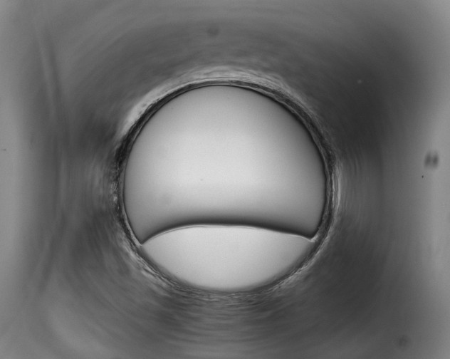 X0000116061501200911201149