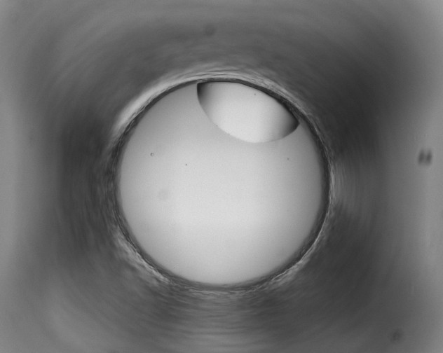 X0000116061502200911201149