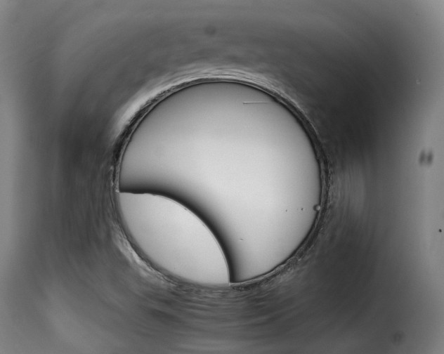 X0000116061503200911201149