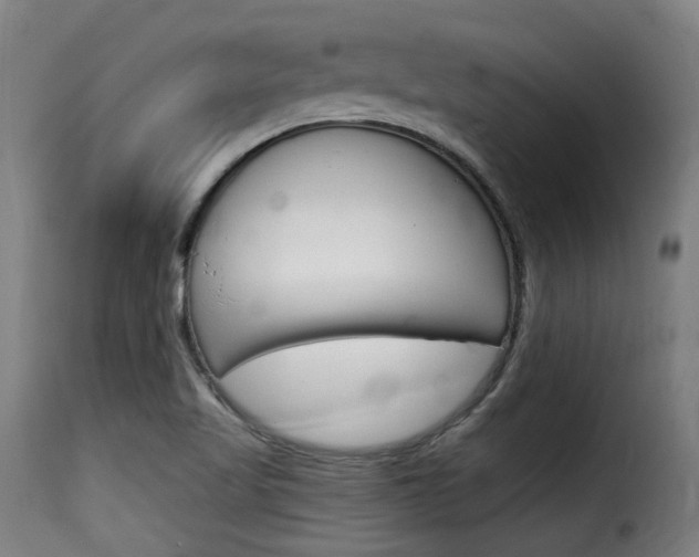X0000116061509200911201149