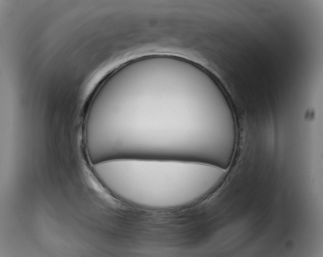 X0000116061511200911201149