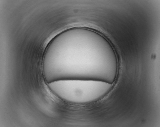 X0000116061513200911201149