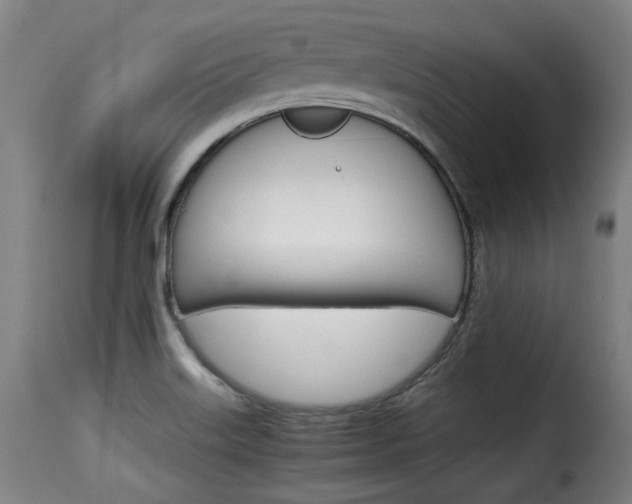 X0000116061515200911201149