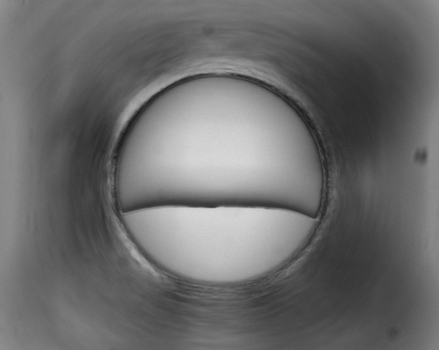 X0000116061517200911201149