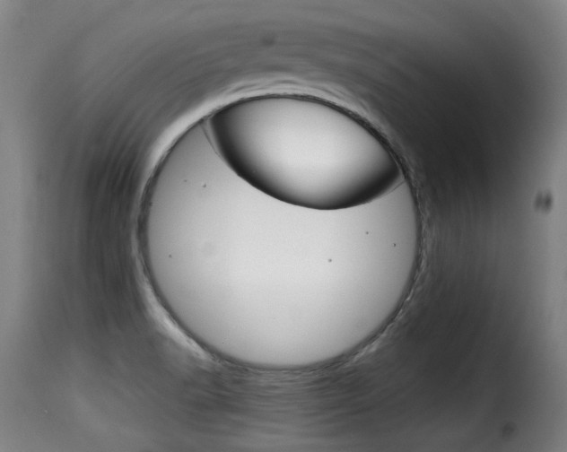 X0000116061518200911201149