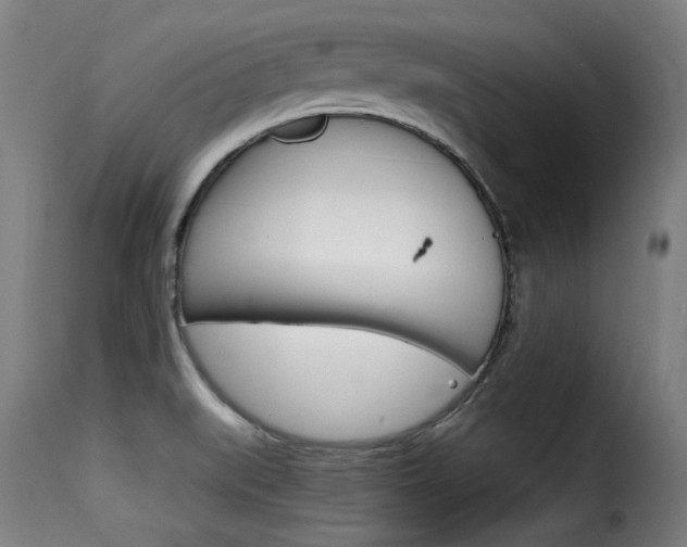 X0000116061519200911201149
