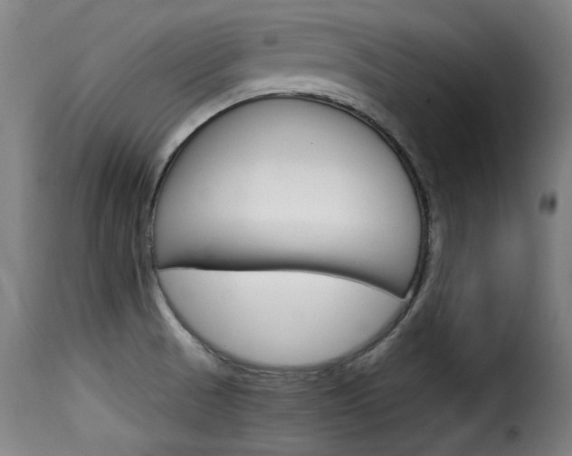 X0000116061521200911201149