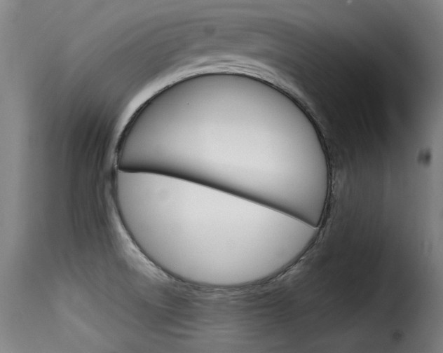 X0000116061522200911201149
