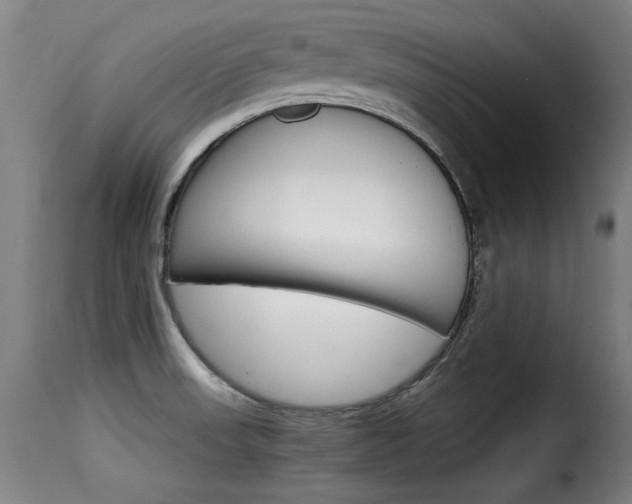 X0000116061523200911201149
