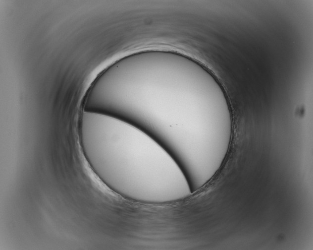X0000116061526200911201149