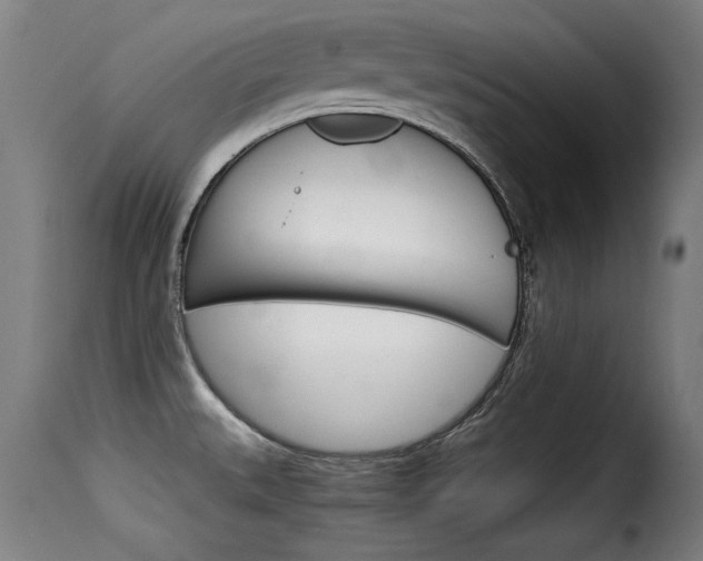 X0000116061527200911201149