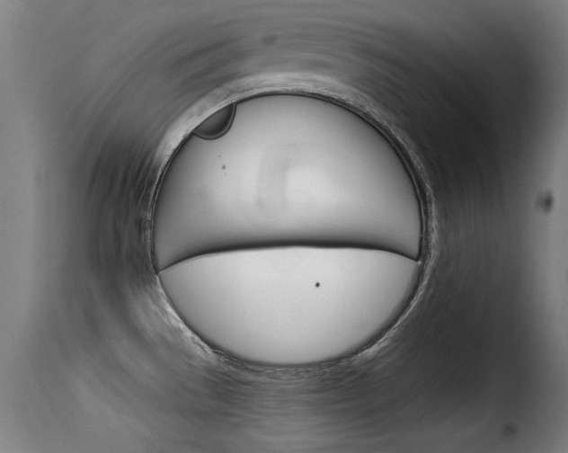 X0000116061529200911201149