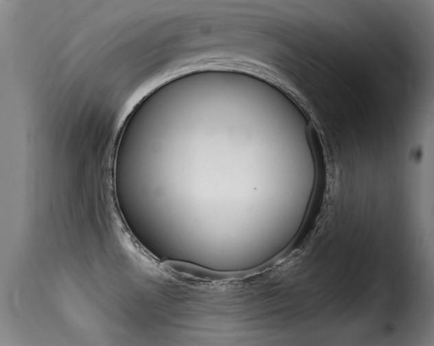 X0000116061530200911201149