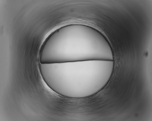 X0000116061531200911201149
