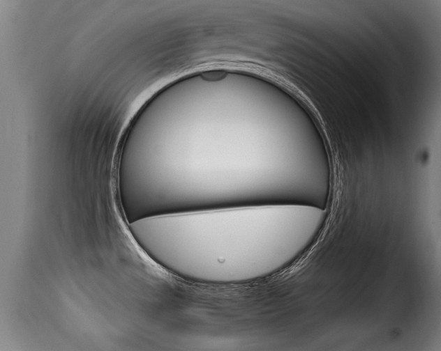 X0000116061533200911201149