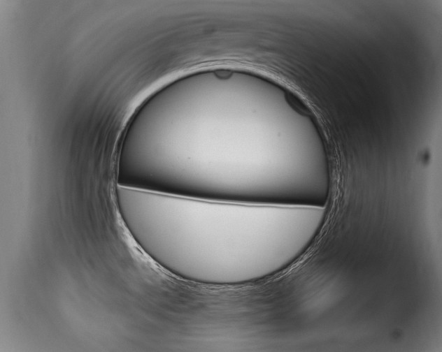 X0000116061534200911201149